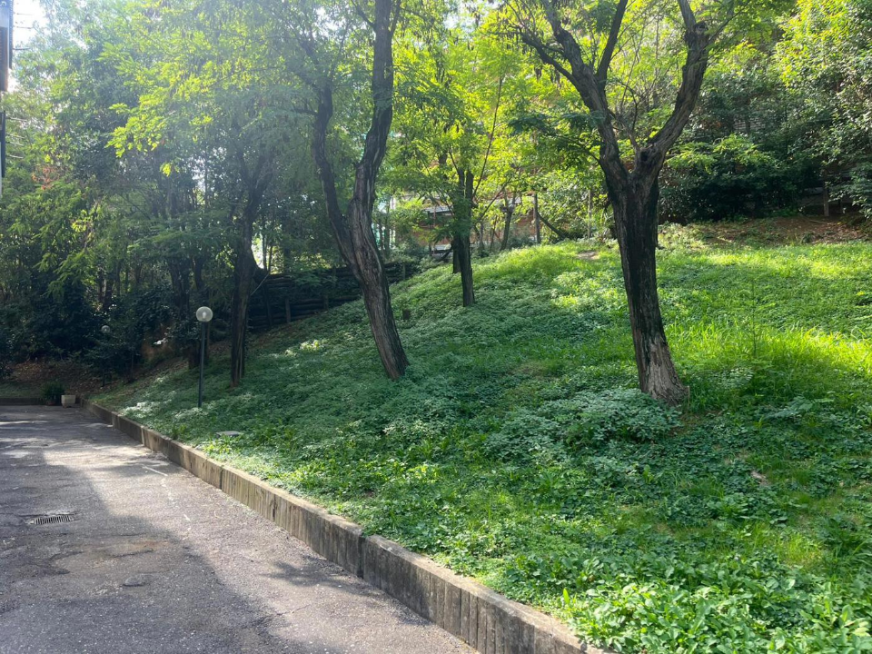 Appartamento - Image 28