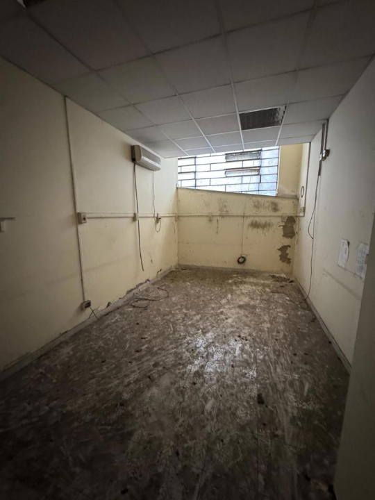 Magazzino - Image 12