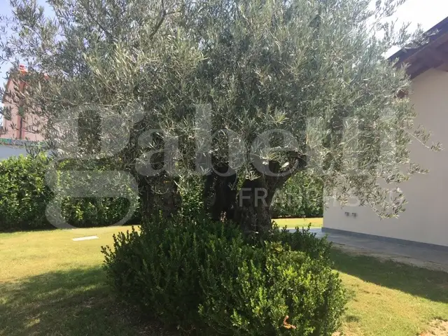 Casa Indipendente - Image 6