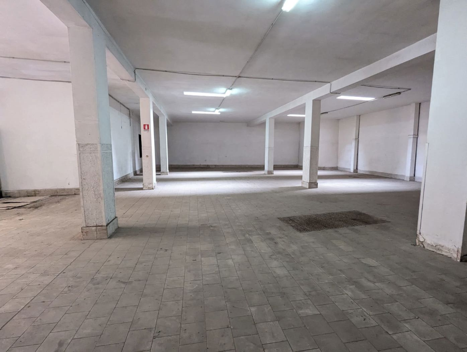 Magazzino - Image 3