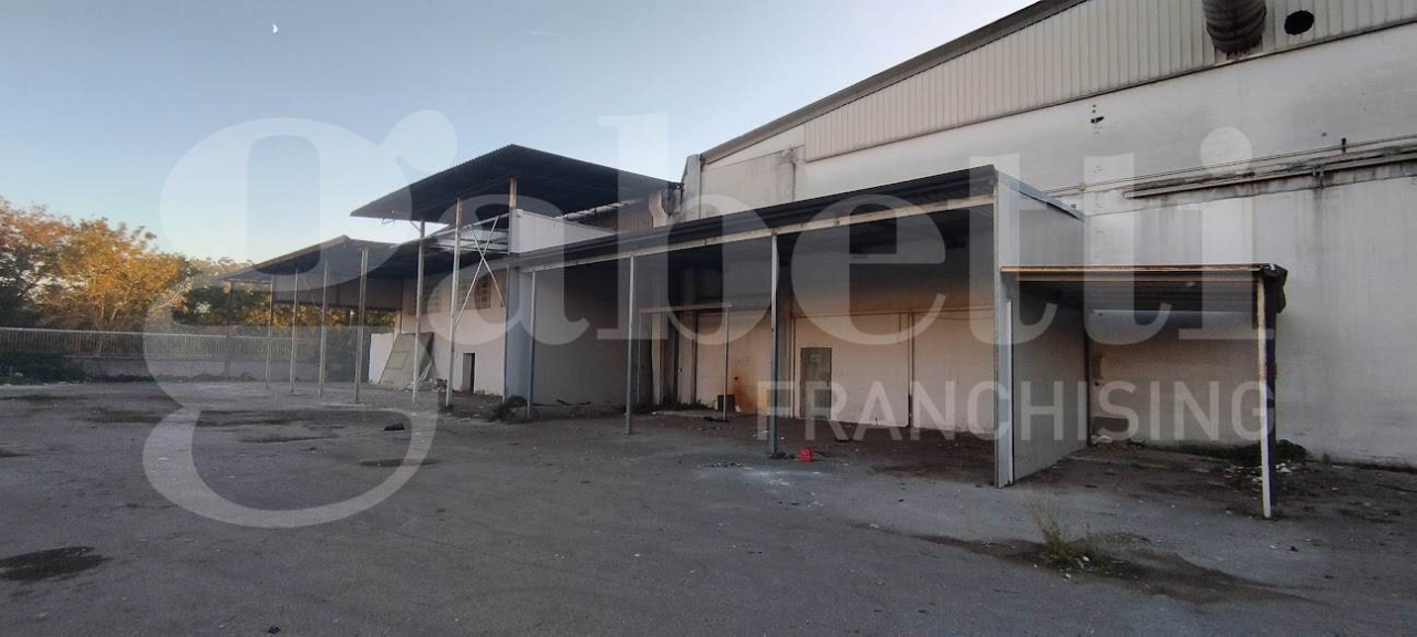 Capannone - Image 15