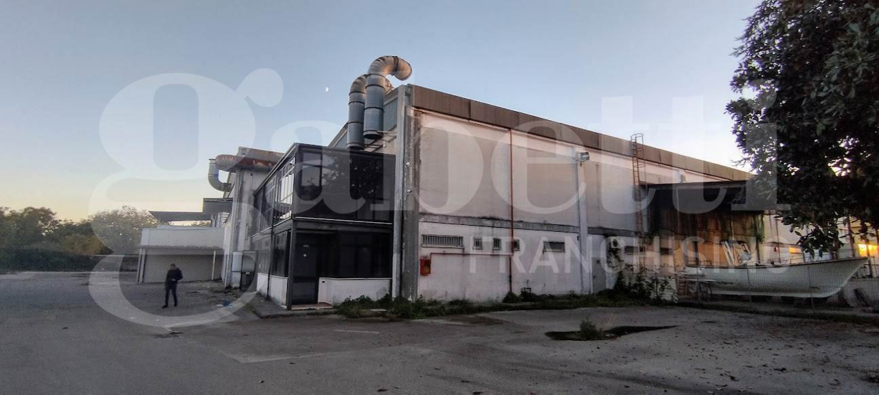 Capannone - Image 8