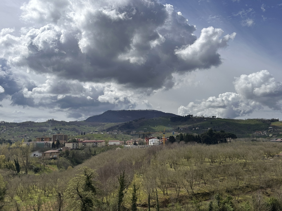 Appartamento - Image 29