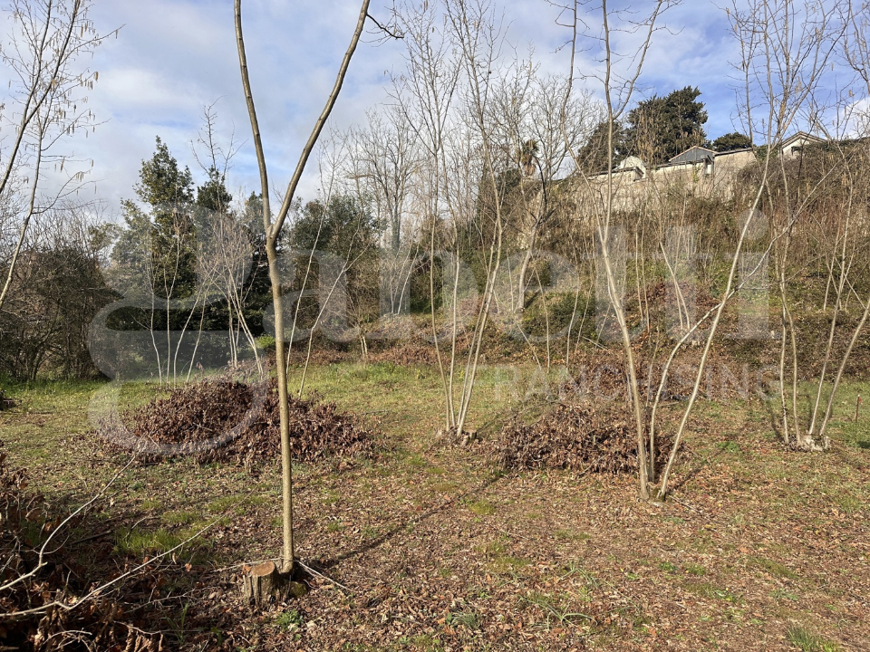 Appartamento - Image 17