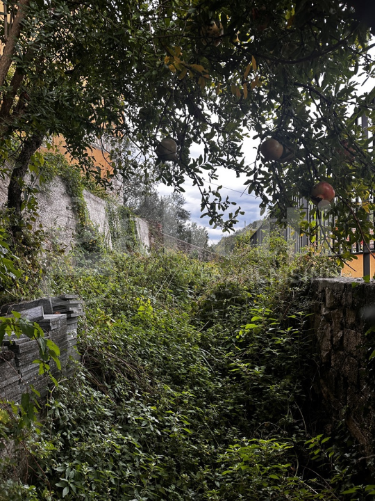 Appartamento - Image 5