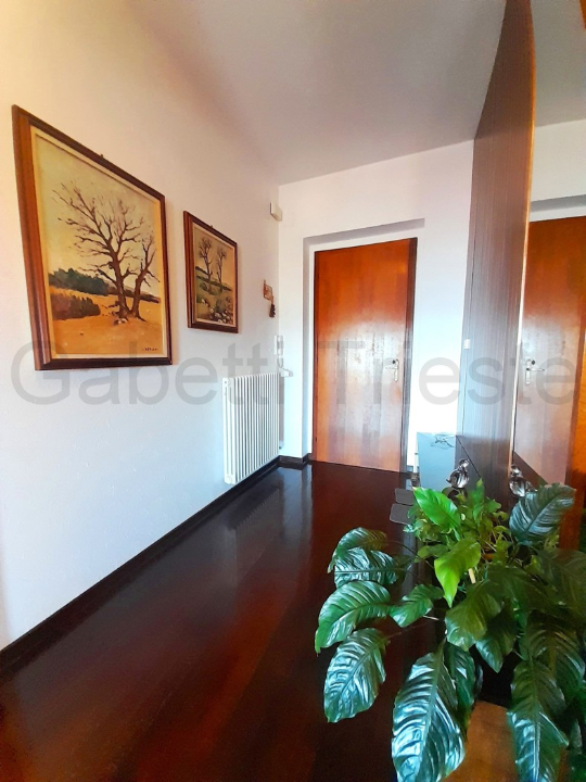 Appartamento - Image 4