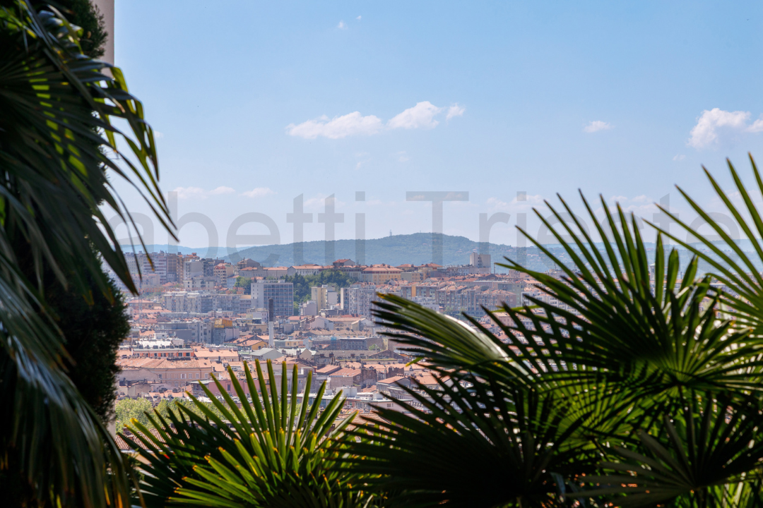 Appartamento - Image 3