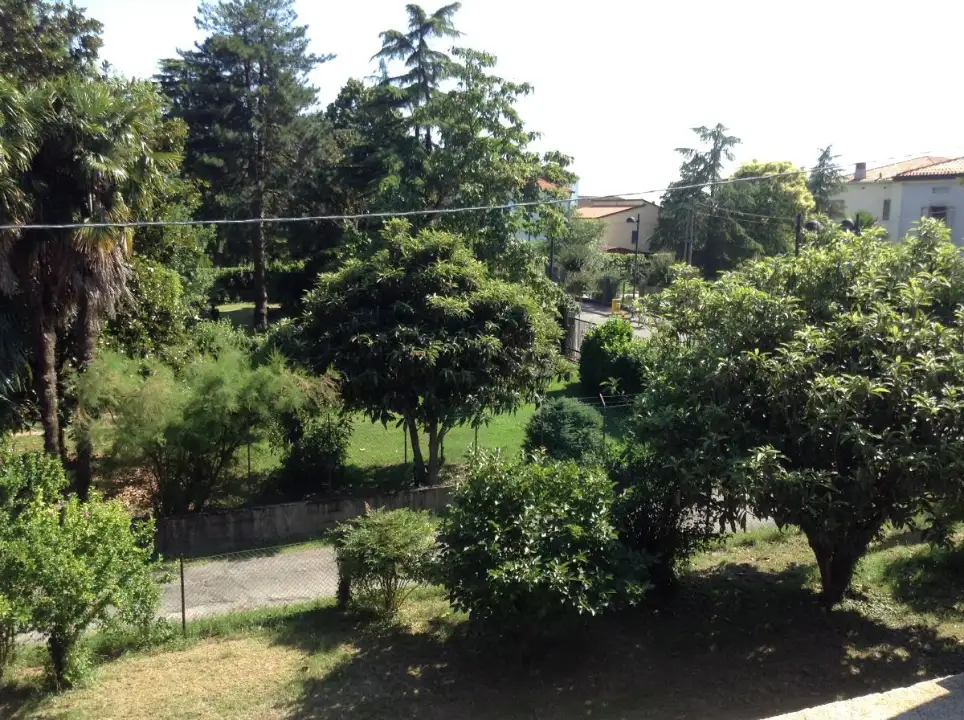 Complesso - Image 10