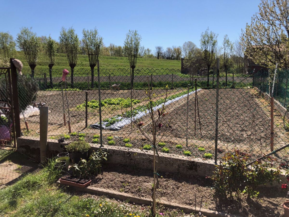 Casa Indipendente - Image 4