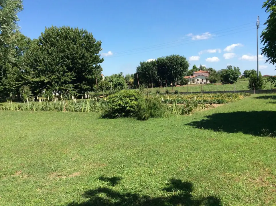 Complesso - Image 31