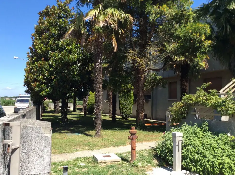 Complesso - Image 30