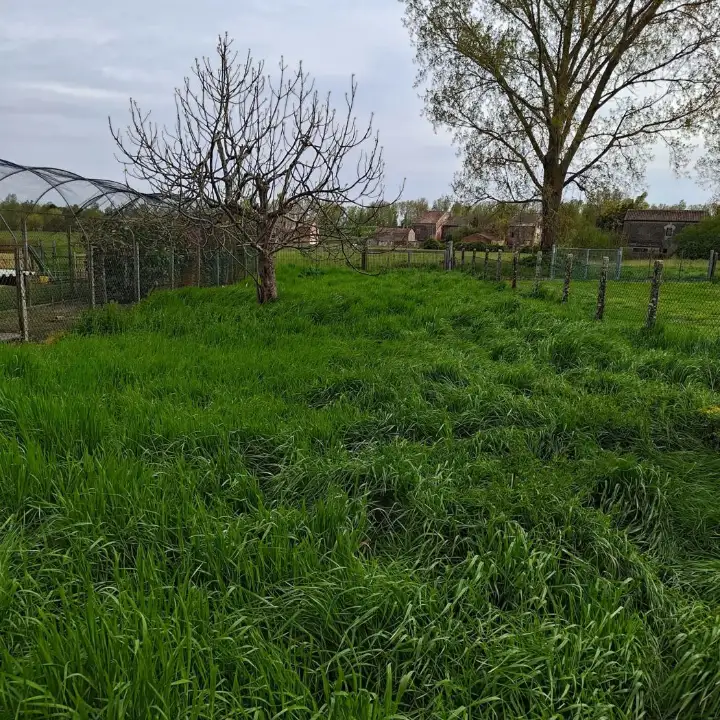 Casa Indipendente - Image 21