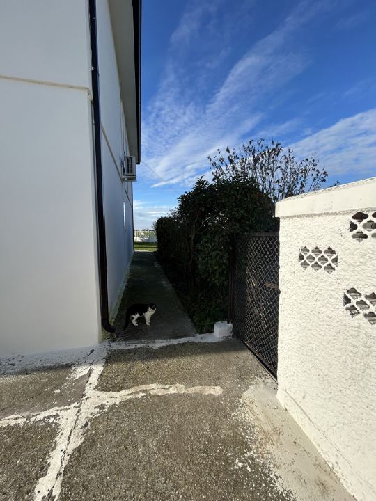 Casa Indipendente - Image 33