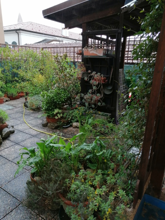 Appartamento - Image 2