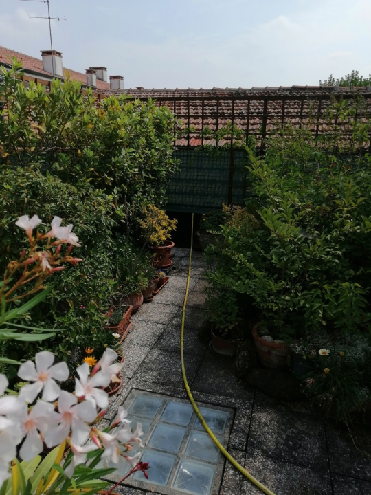 Appartamento - Image 4