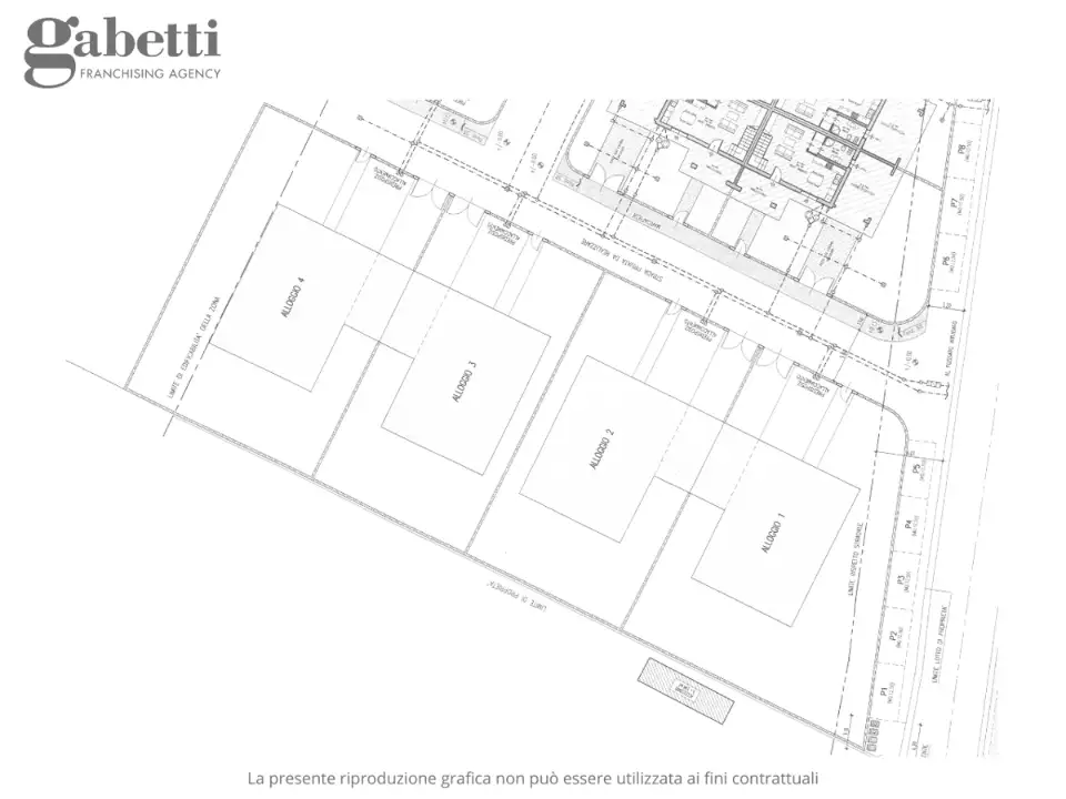 Terreno - Planimetry 1