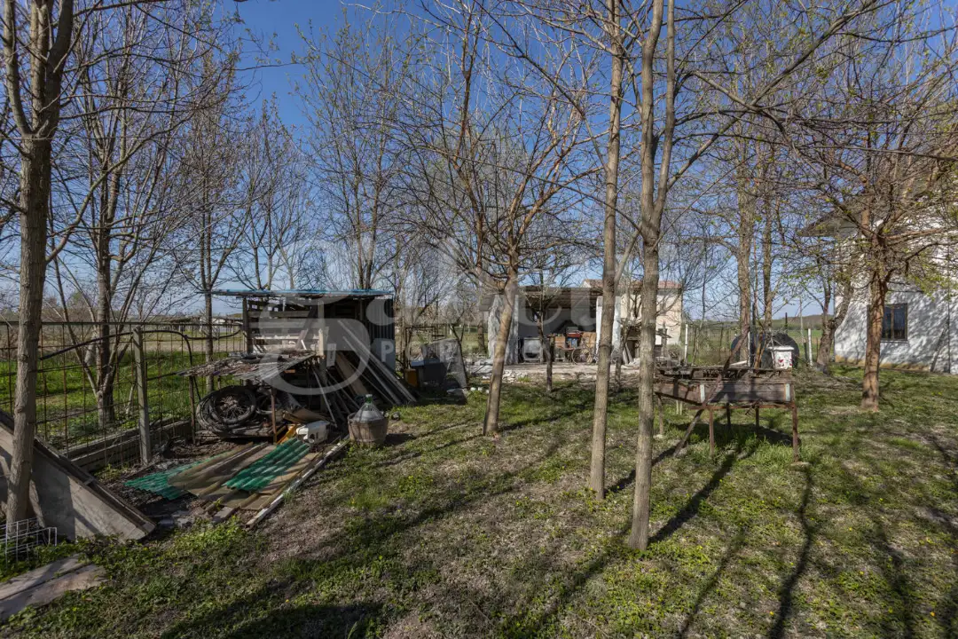 Casa Indipendente - Image 41