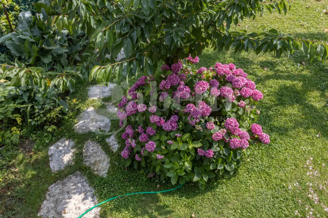 Casa Indipendente - Image 31