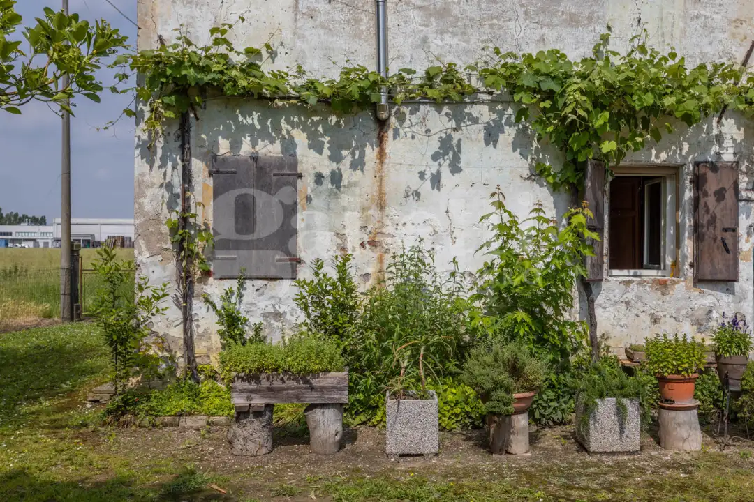 Casa Indipendente - Image 14