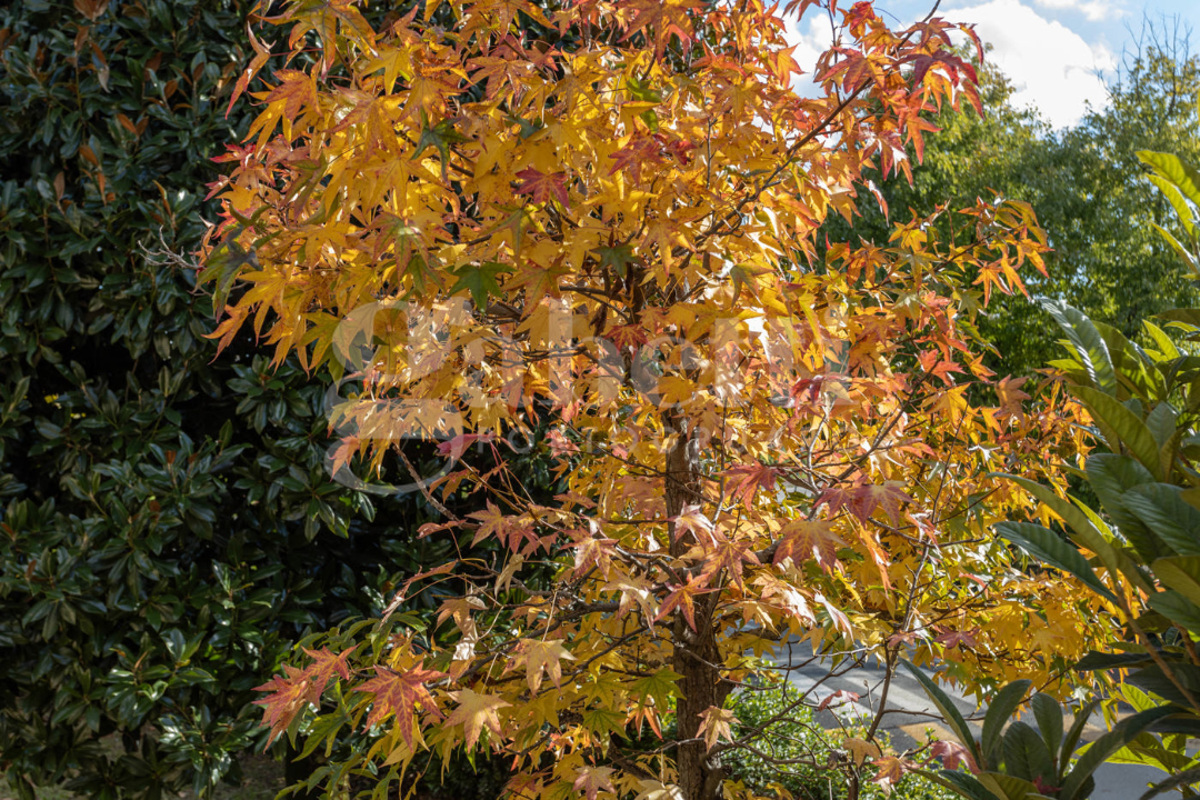 Casa Indipendente - Image 38