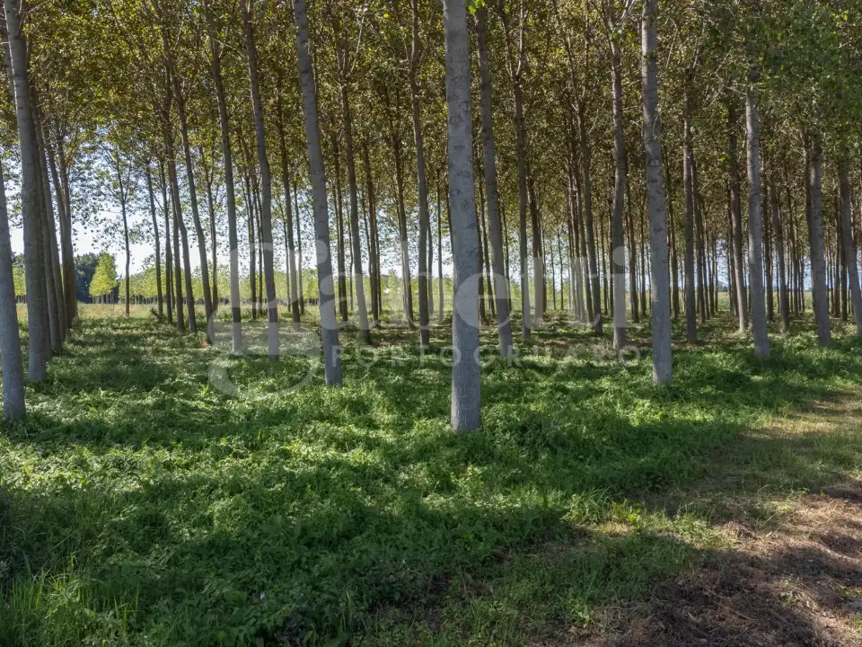 Casa Indipendente - Image 36