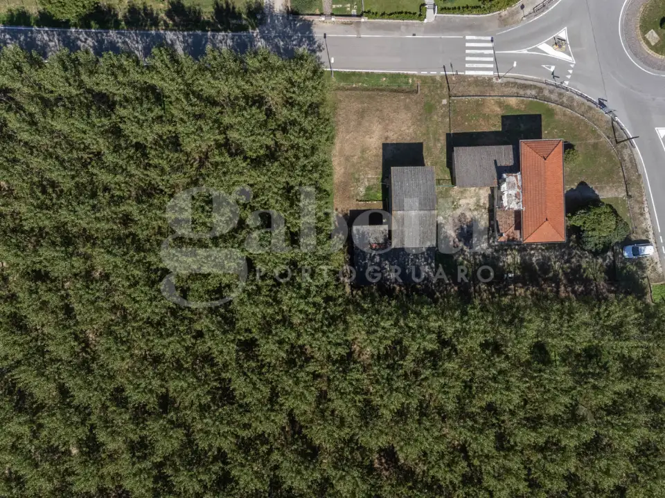 Casa Indipendente - Image 3