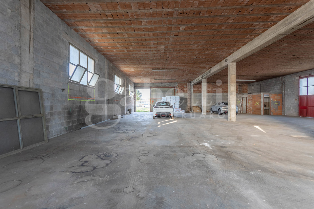 Capannone - Image 14