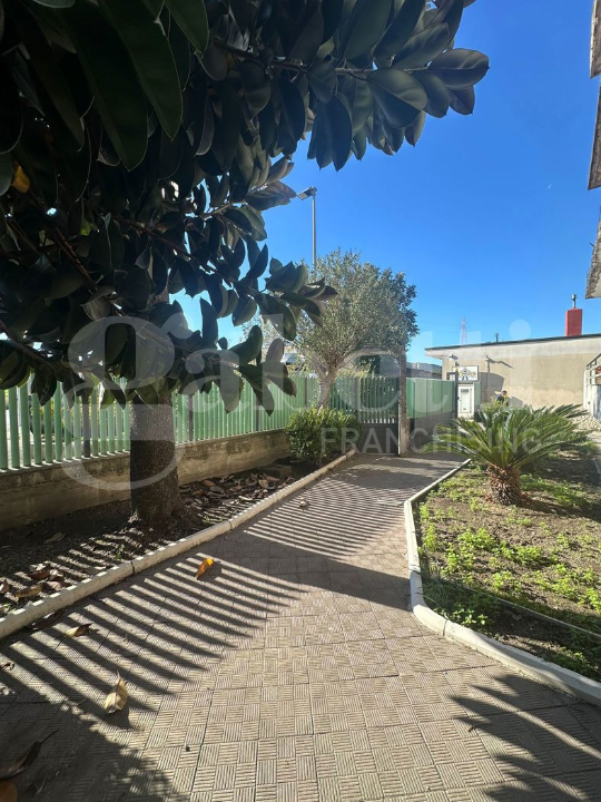 Appartamento - Image 4