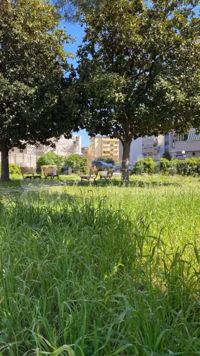 Appartamento - Image 2