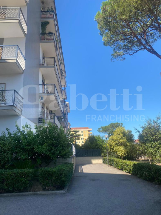 Appartamento - Image 4