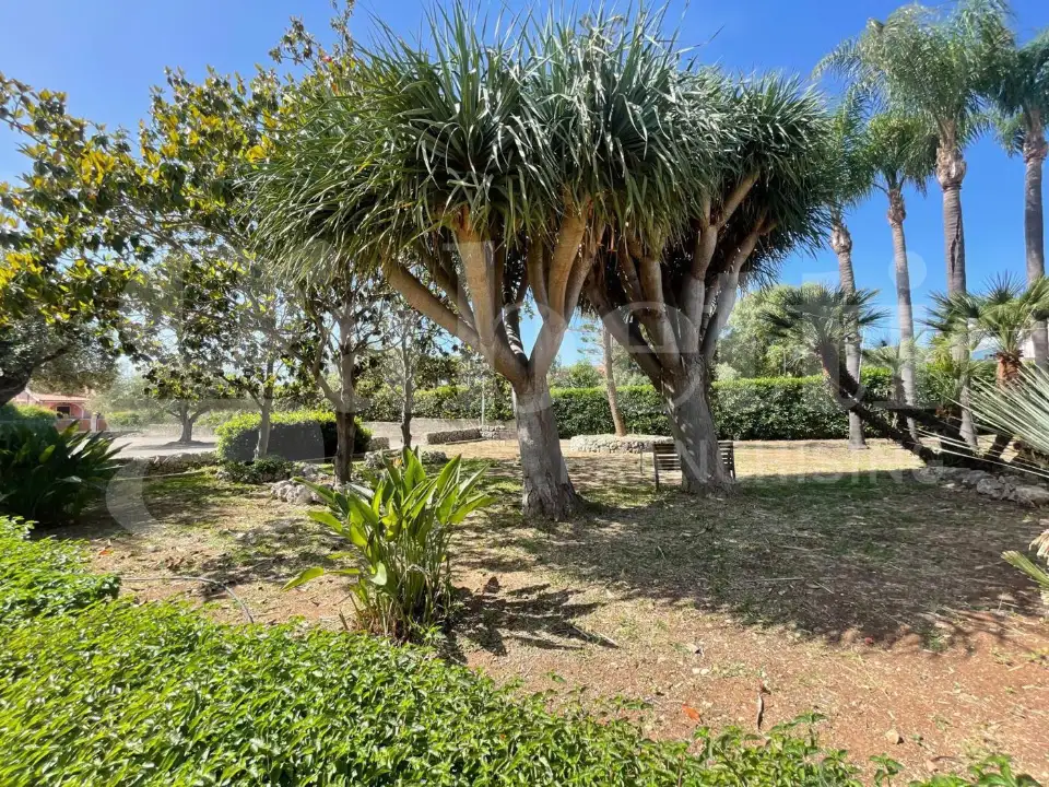 Centro Commerciale - Image 7