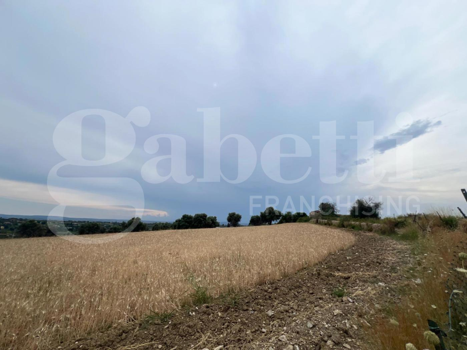 Terreno - Image 7