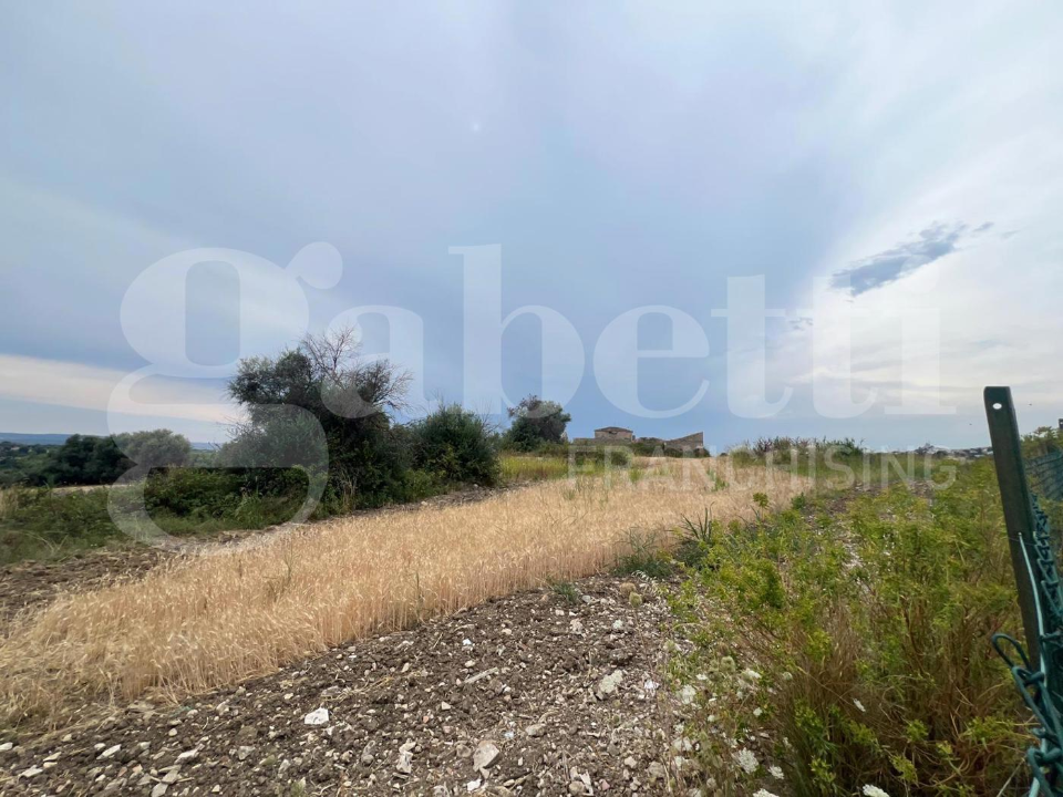 Terreno - Image 9