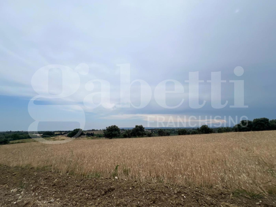 Terreno - Image 6