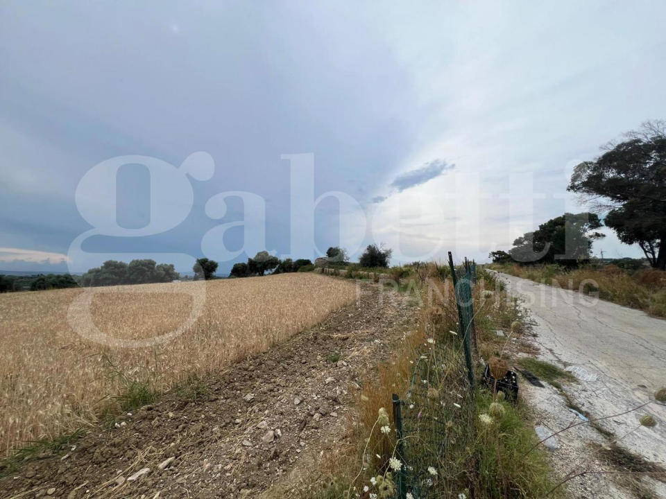 Terreno - Image 5