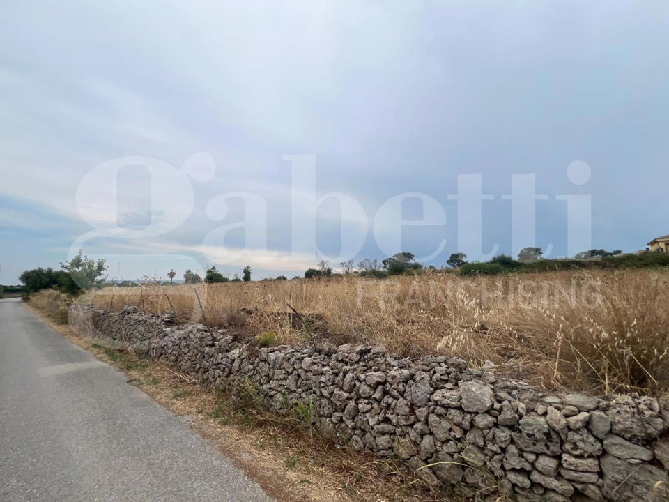 Terreno - Image 3