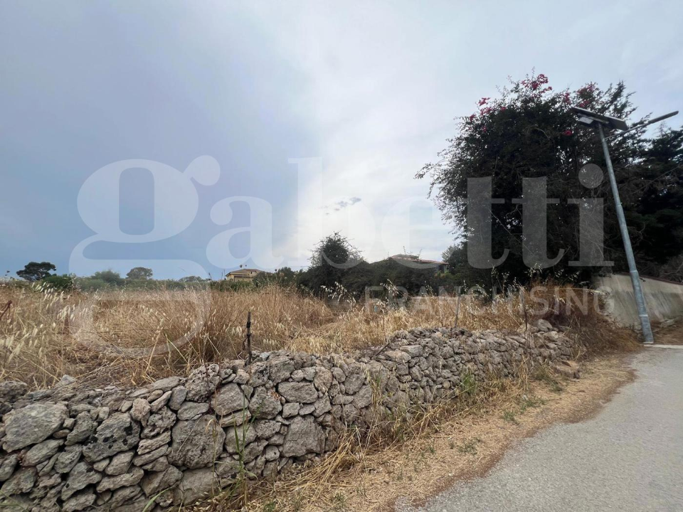 Terreno - Image 2