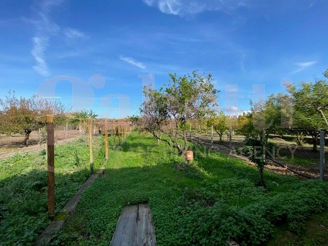 Casa Indipendente - Image 4