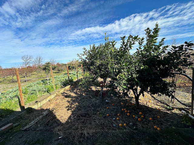 Casa Indipendente - Image 10