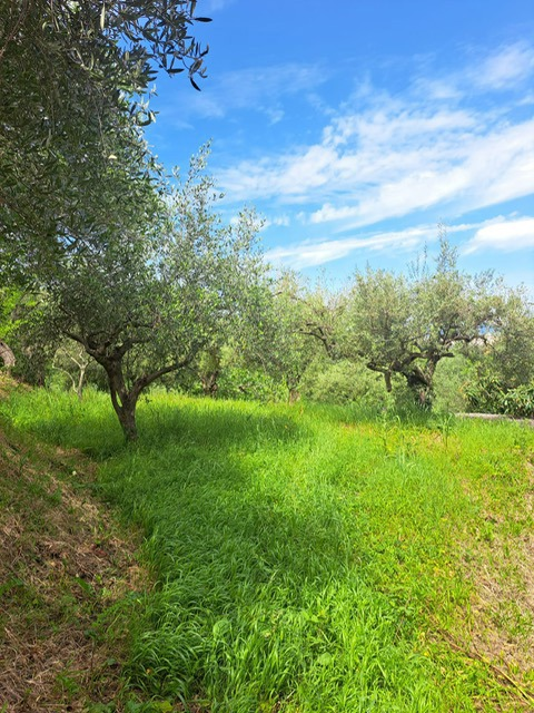 Casa Indipendente - Image 10