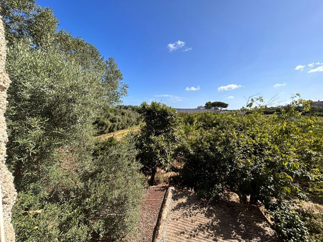 Casa Indipendente - Image 15