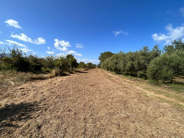 Casa Indipendente - Image 4