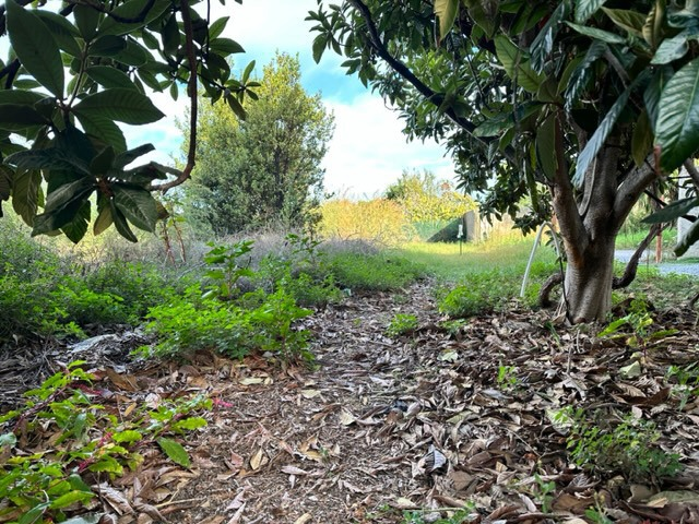 Casa Indipendente - Image 5