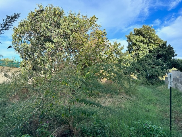 Casa Indipendente - Image 4