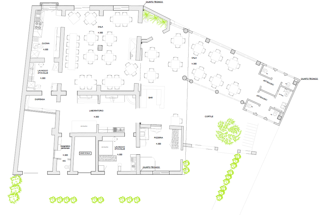 Attività - Planimetry 1