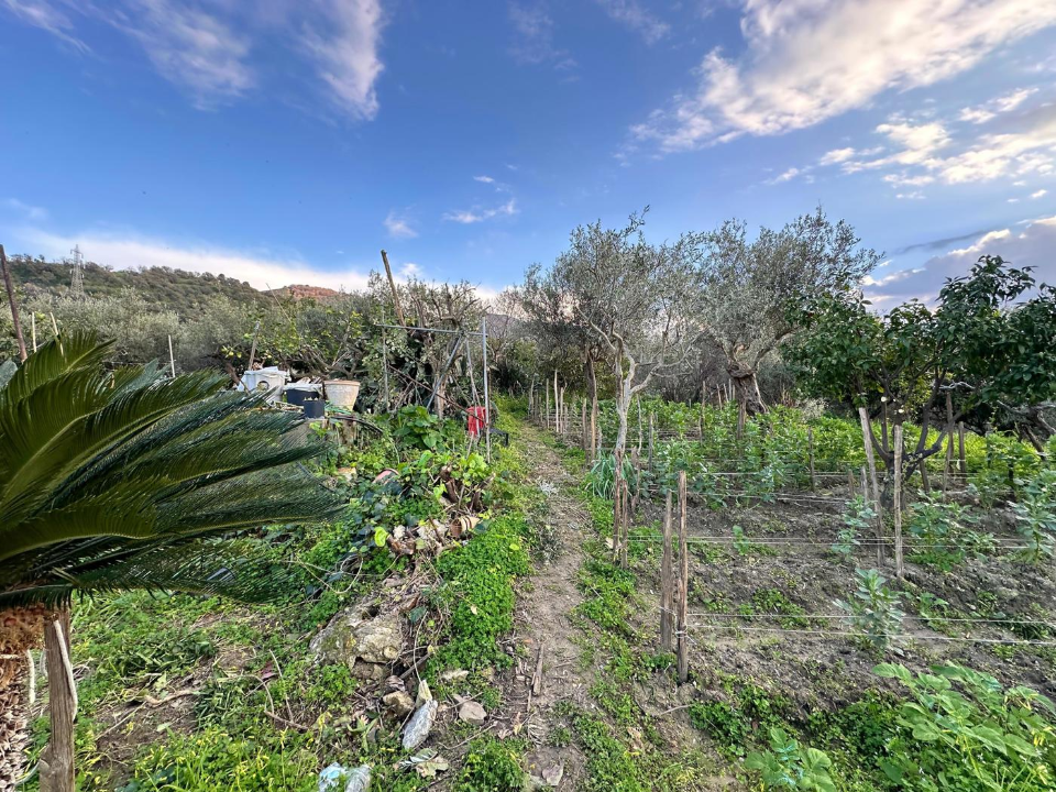 Casa Indipendente - Image 1