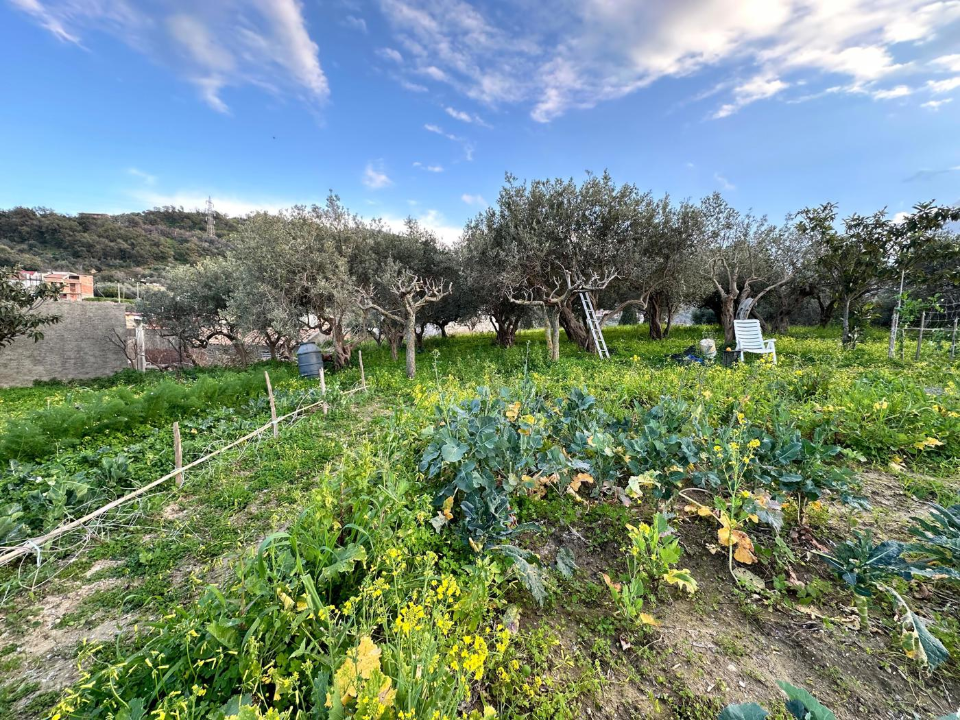 Casa Indipendente - Image 5