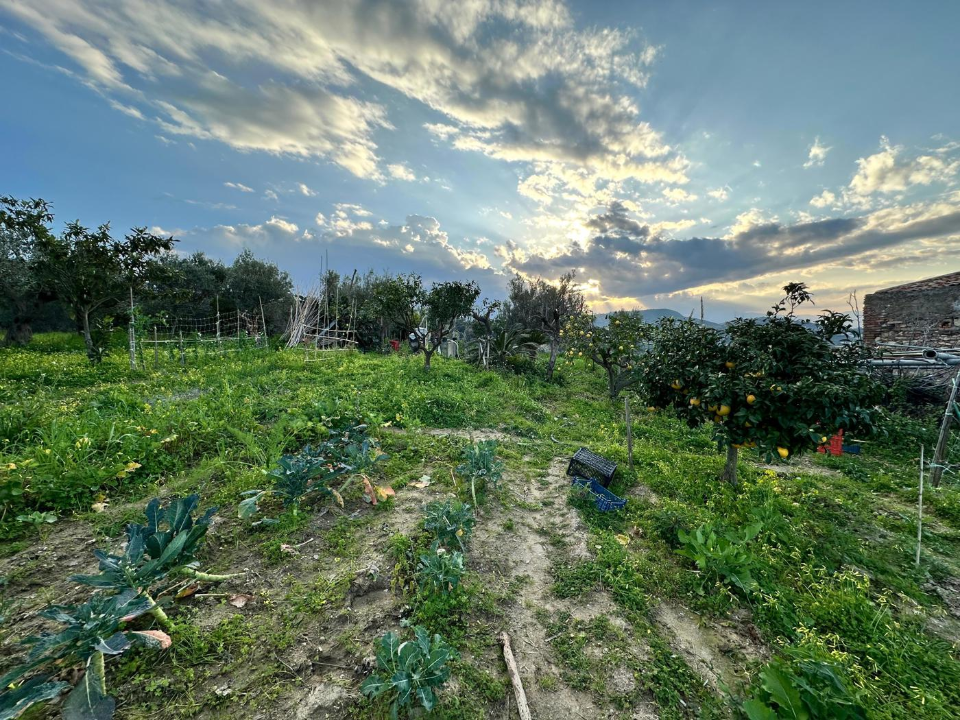 Casa Indipendente - Image 6