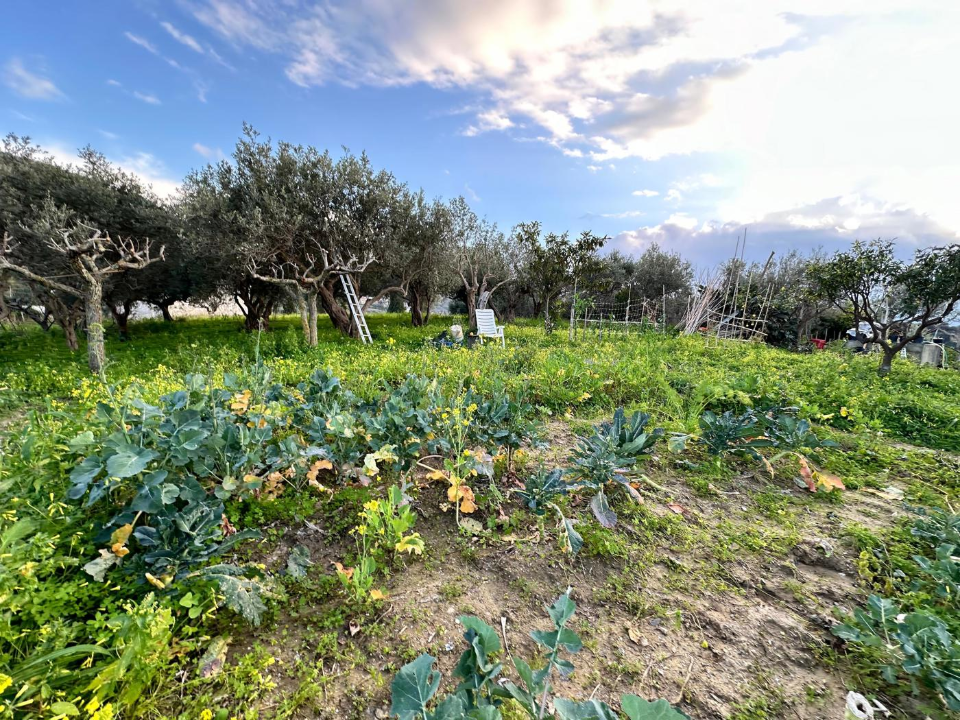 Casa Indipendente - Image 13