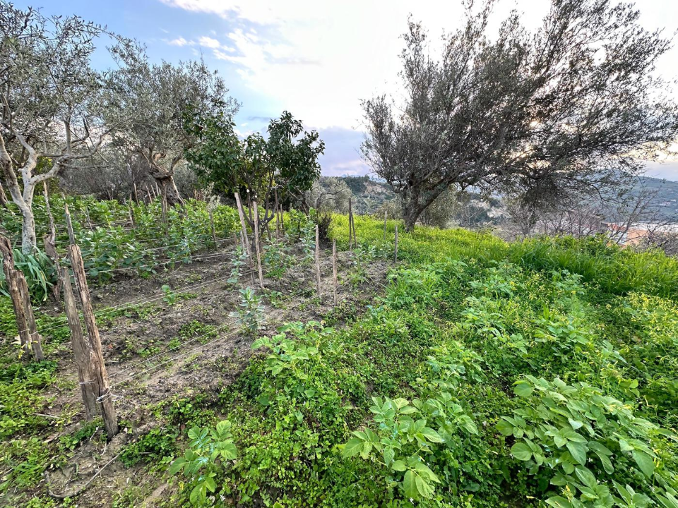 Casa Indipendente - Image 2